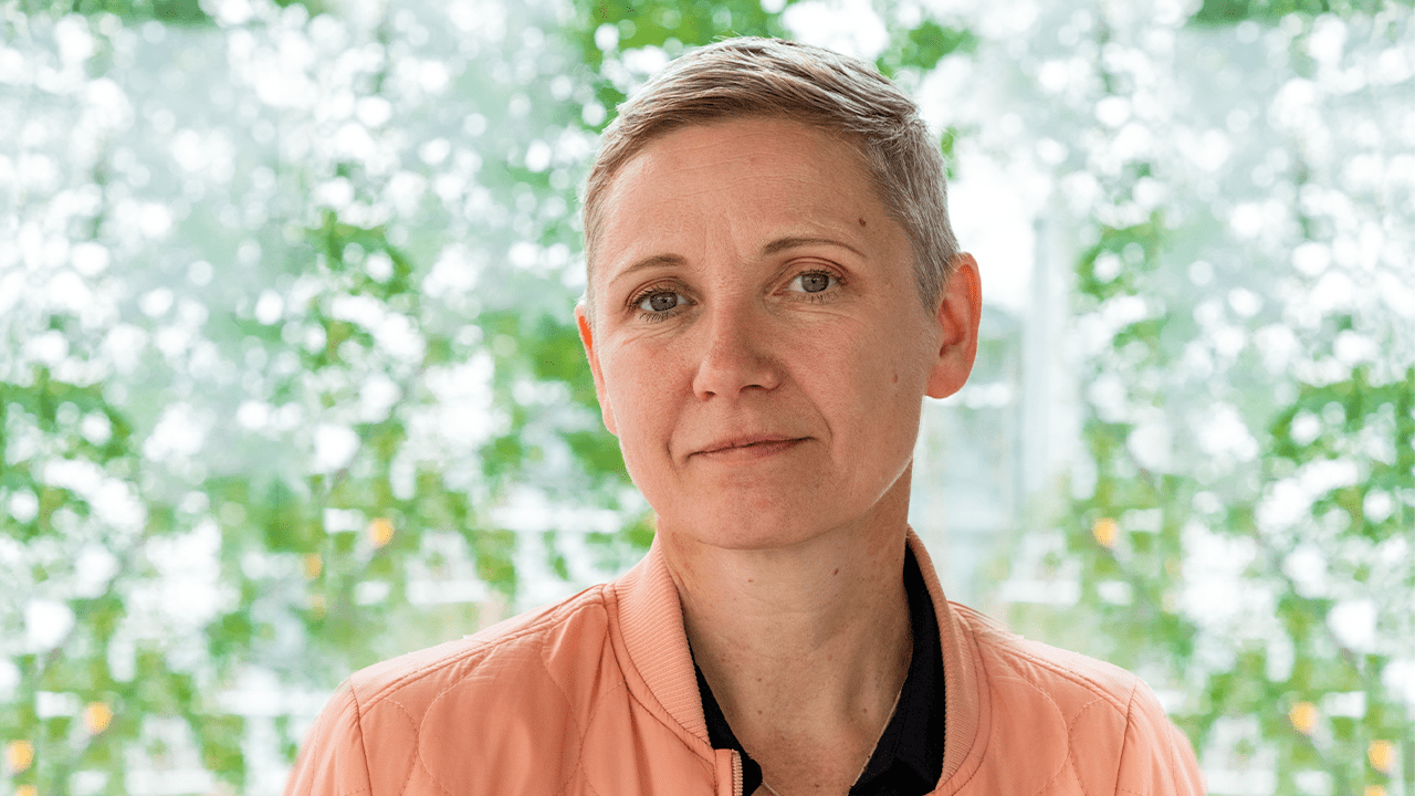 Fokke Moerel, an architect partner at MVRDV