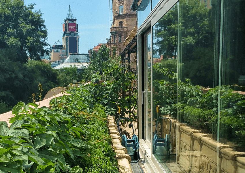 Glass terrace of the restaurant